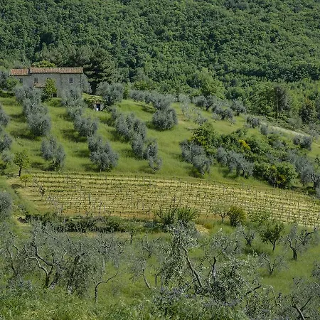 Bindozzino Agroturismo