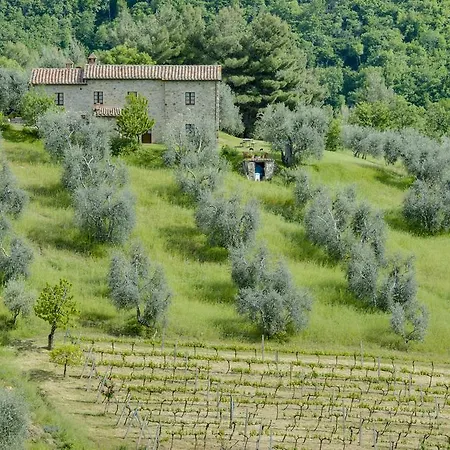 Agriturismo Bindozzino مزرعة للإقامة *